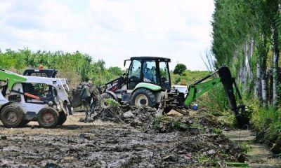 San Fernando hace operativos de mantenimiento de espacios verdes en barrios de Virreyes