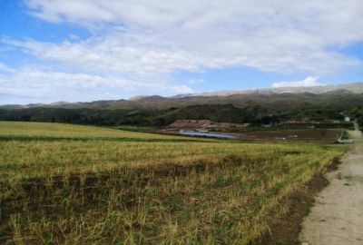 Medio Ambiente realiz� una inspecci�n en el feedlot Nicanor y constat� el cese de actividades