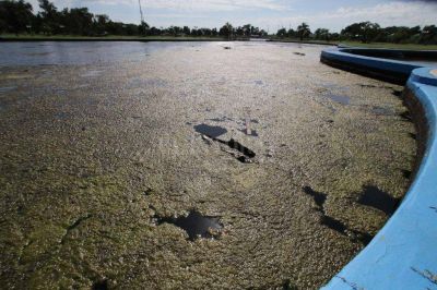El agua del lago de Parque Sur: una descomposici�n 