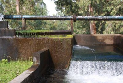 �Cu�l es la diferencia entre el agua cruda y el agua potable? 