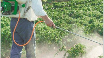 YPFB llega al pa�s con la mira en la exportaci�n y venta local de fertilizantes