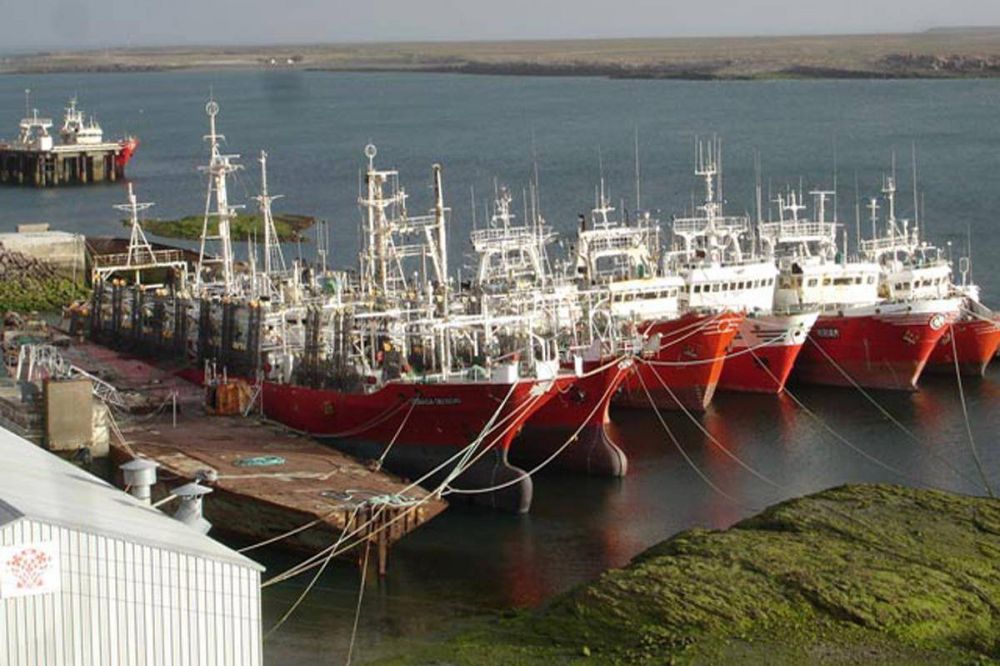 El SOMU acord un 122,5% en paritarias de la pesca de calamar
