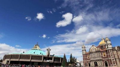 M�xico: Obispos pedir�n al Papa nuevas facultades para atender abusos