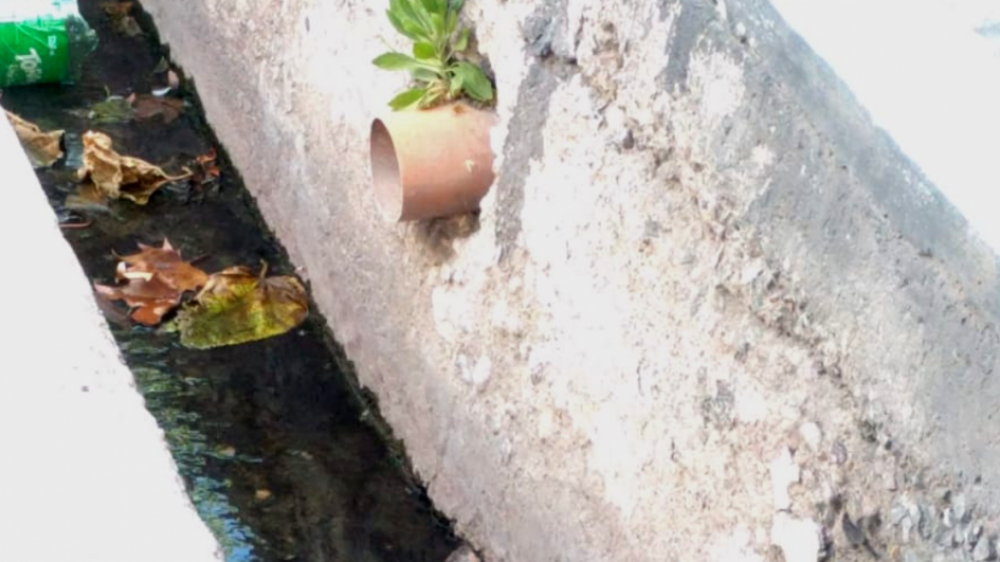 Cloacas 'truchas': preocupacin por el vertido de agua contaminada a las acequias