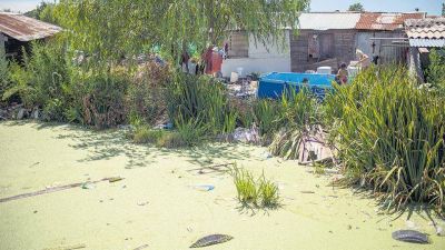 �Sin contaminaci�n generalizada�