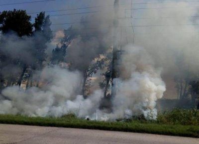 Incendio en la explanta de biodiesel Fox Oil