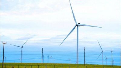 La Argentina es el quinto pa�s en energ�a e�lica de Am�rica