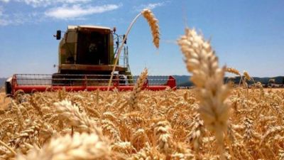 Expendedores rurales estiman que la porci�n m�s grande de la venta de gasoil ser� para las petroleras