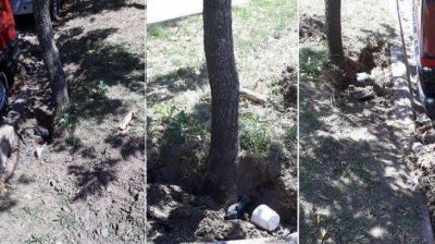 Cansados de esperar a ABSA, arreglaron ca�o y volvieron a tener agua despu�s de 10 d�as