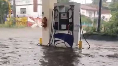 Las Estaciones blancas se mantienen �a flote� contra cualquier tormenta