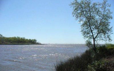 Alerta ambiental por un derrame de hidrocarburo en las costas de Berisso