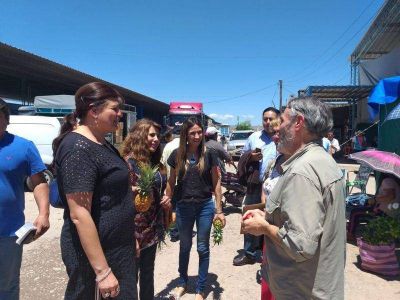Aprovechamiento de residuo org�nico en el mercado de Perico
