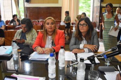 El Tribunal de Cuentas pidi� la desgrabaci�n de las explicaciones de Magnoler ante el Concejo