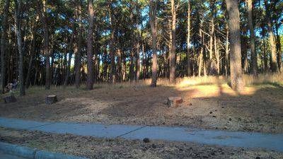 Sigue venciendo la Necochea del �No�