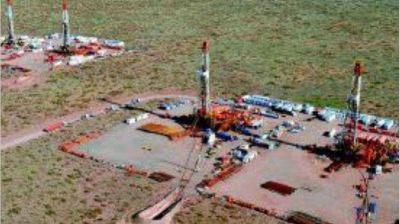 Gasoducto en Vaca Muerta: la regulaci�n del proyecto, en an�lisis