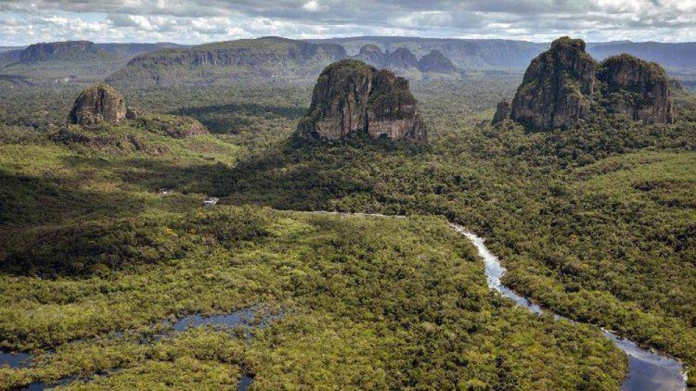 Hacia el Snodo Especial para la Amazona: dimensin regional y universal