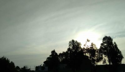 Juntan firmas para pedir que el Parque Miguel Lillo sea declarado 