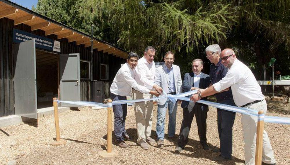 Logran avances en la produccin de biocombustibles slidos de base forestal en la Patagonia