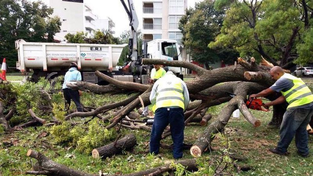 Recogieron ms de 1.500 toneladas de deshechos que dej el temporal en La Plata