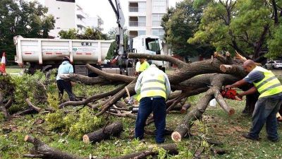 Recogieron m�s de 1.500 toneladas de deshechos que dej� el temporal en La Plata