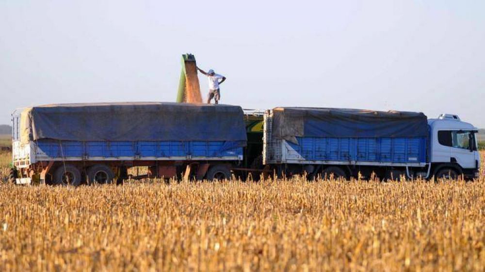 Esperan que la mejora en la cosecha favorezca la situaci�n de los expendedores rurales