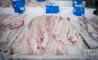Qu� y a d�nde exporta sus productos Mar del Plata