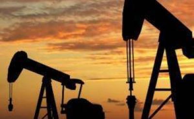 Compa��a General de Combustibles e YPF obtuvieron la adjudicaci�n del �rea Paso Fuhr