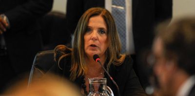 Los �celestes� lanzaron un 0800 de ayuda a mujeres ante embarazos inesperados