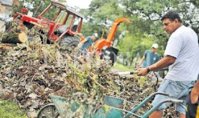 Retiraron mil toneladas de ramas y �rboles ca�dos por el temporal
