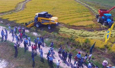 URUGUAY: Cultivadores de arroz muestran preocupaci�n por alto costo de combustibles