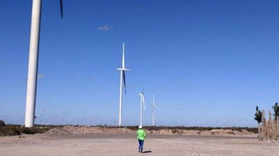 La obra del parque e�lico ya entr� en la etapa final de ejecuci�n