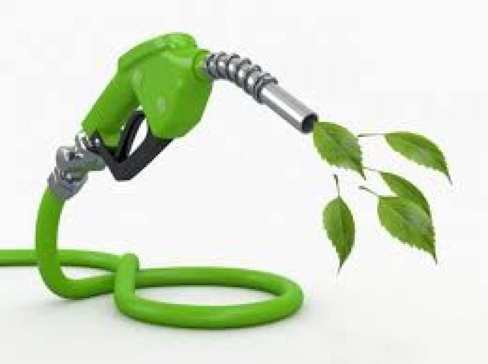 Energa demora la publicacin de precios de los biocombustibles