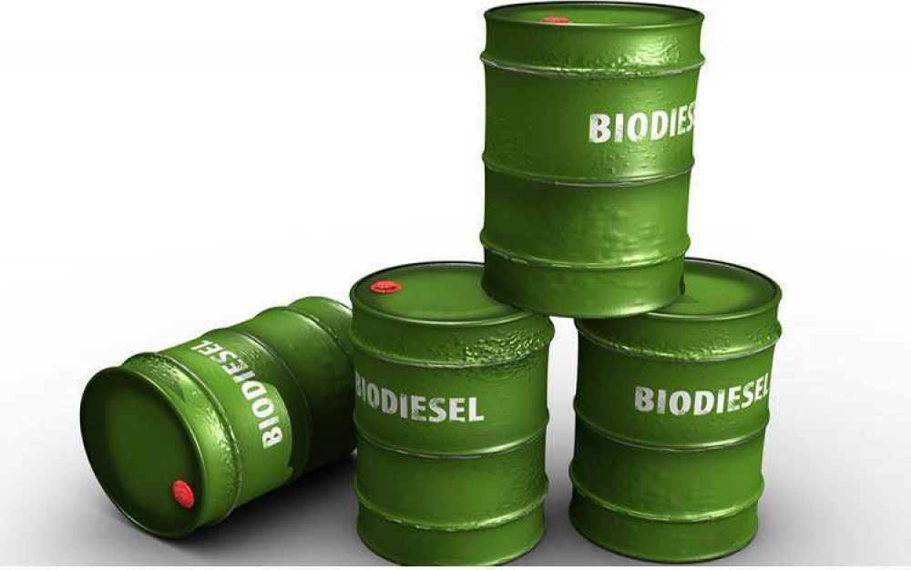 Elaboradoras de Biodiesel reclaman la urgente publicacin del precio para el mercado interno