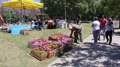 Cuarta campa�a de recolecci�n de residuos electr�nicos