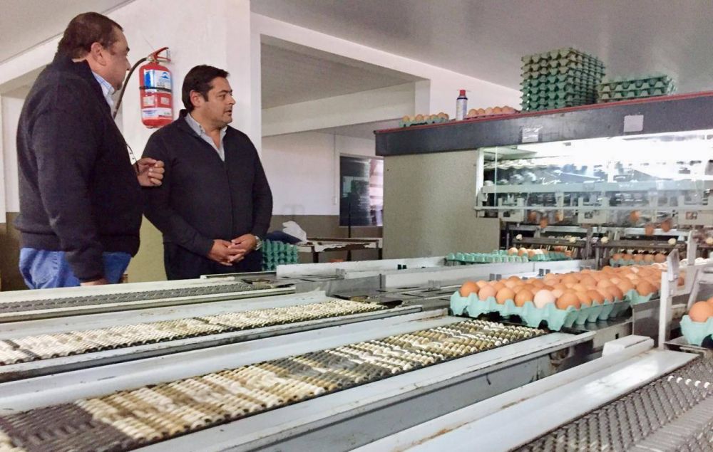 El pre candidato a intendente, Marcelo Sosa, visit una granja avcola en General Piran