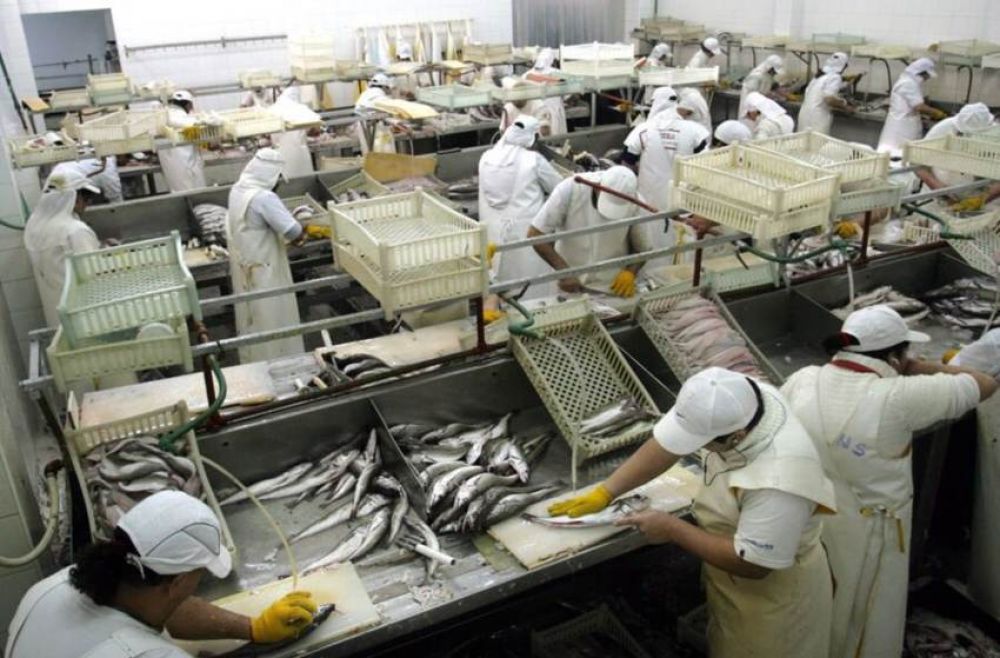 Conserveras de pescado en crisis: 