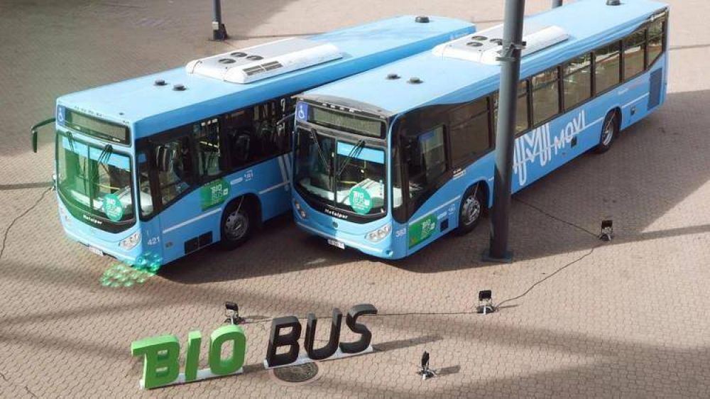 A partir de una exitosa experiencia, alientan a duplicar el corte del biodiesel en el gasoil