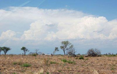 Los delitos contra el medio ambiente que contempla la reforma del C�digo Penal