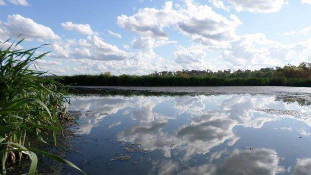 Clausuran obras ilegales de Gustavo Pierri que destruyeron humedales en reserva Laguna de Rocha