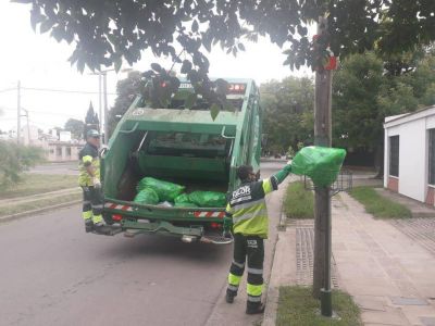 La clave, los recicladores de base