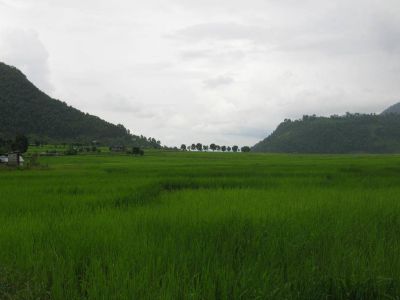 Nepal: El Papa Francisco invoca consuelo, curaci�n y fortaleza