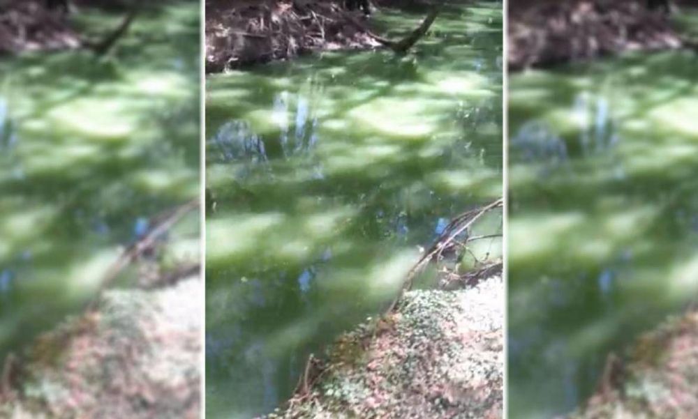 Video: preocupacin por el extrao color del agua de un arroyo de Pilar