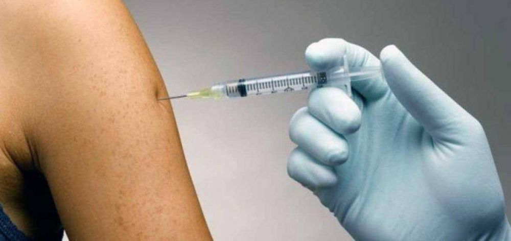 Vacunacin antigripal: las dosis llegan este jueves a Mar del Plata