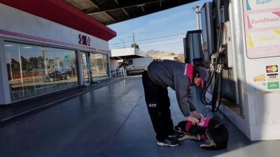 Desde CECHA relativizan que haya habido un repunte en la actividad: �Muchas estaciones bajaron sus ventas�