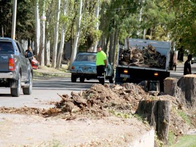 Obras en Luj�n: vecinos de calle Boedo piden celeridad