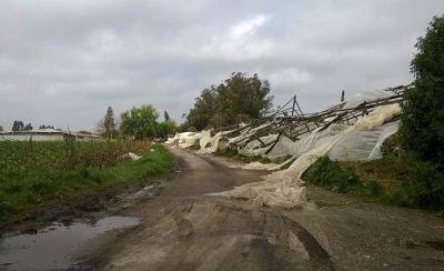 El Ejecutivo plant� a los productores frutihort�colas y crece el malestar en el sector