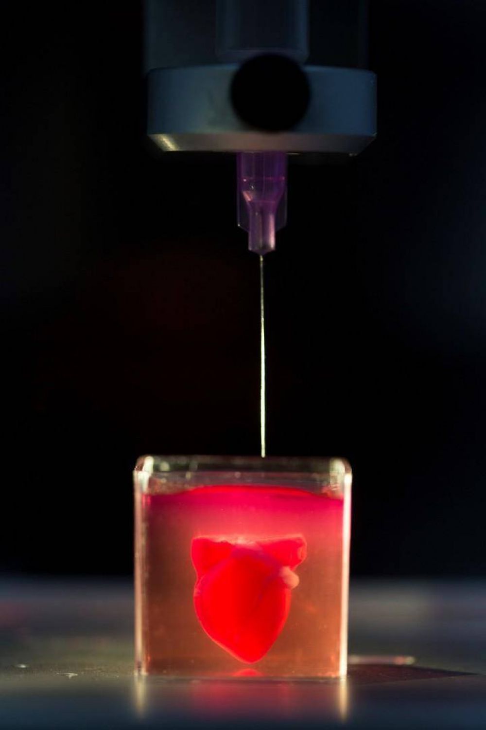 Por primera vez imprimen en 3D un corazn vivo con tejidos humanos y vasos sanguneos