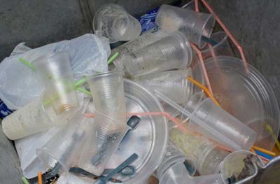 �Esto abrir� la puerta a que la ciudad use materiales biodegradables�