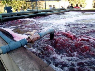 Distrito peronista refuerza el cuidado ambiental y clausura f�bricas