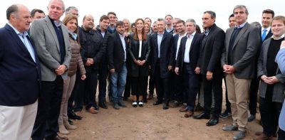 Vidal, alineada pero tambi�n preparada